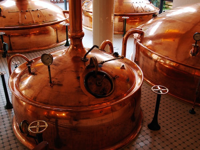 Placeholder Select Dynamic field