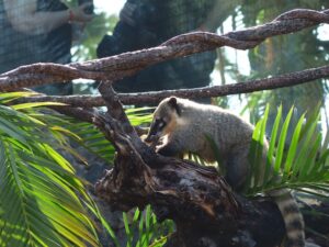 Placeholder Select Dynamic field